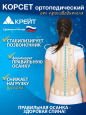 Б-506 Корсет ортопедический грудопоясничный, №5, Р1, бежевый